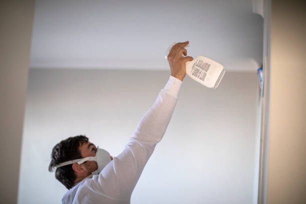 Best Emergency Mold Removal  in Royston, GA