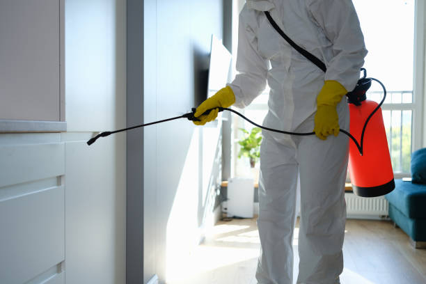 Best Mold Testing  in Royston, GA