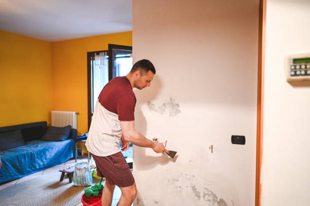 Best Mold Damage Repair  in Royston, GA