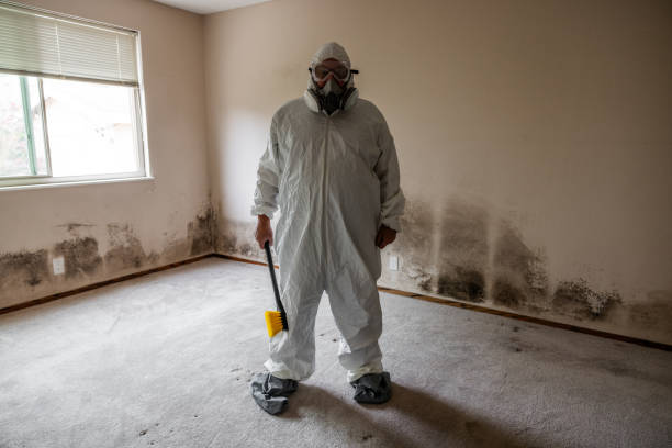Best Mold Testing and Removal  in Royston, GA